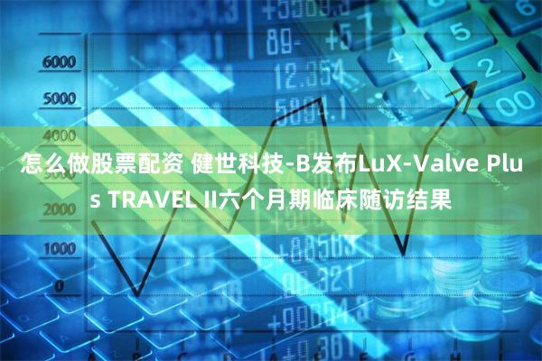 怎么做股票配资 健世科技-B发布LuX-Valve Plus TRAVEL II六个月期临床随访结果