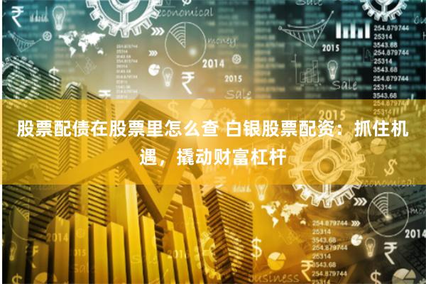 股票配债在股票里怎么查 白银股票配资：抓住机遇，撬动财富杠杆