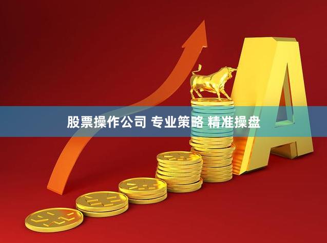 股票操作公司 专业策略 精准操盘